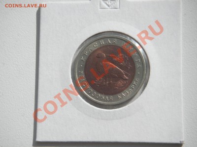 10 рублей 1992. Краснозобая КАЗАРКА  21.00 21.08.13 - 003.JPG