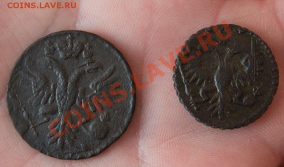 1731 Денга - одна черта и полушка перечекан москва 25 авг 22 - _MG_4907
