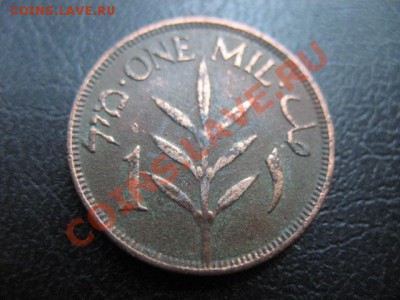 1927 Палестина, 1 Мi, до 26.08 в 21-00 мск - IMG_4837.JPG