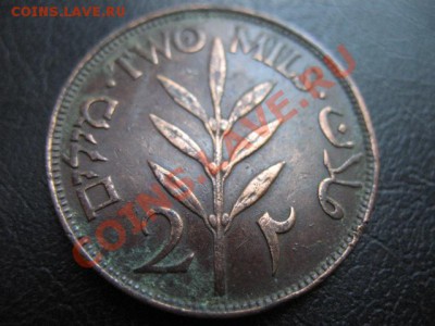 1927 Палестина, 2 Мi, до 26.08 в 21-00 мск - IMG_4839.JPG