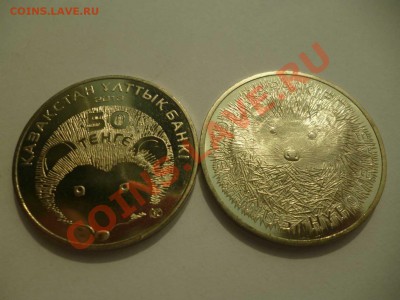ДК Казахстан 50 тенге Ежик ФИКС 27.08 - P1040809
