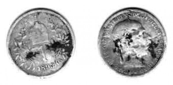 Помогите оценить монету 1893г - 1893.JPG