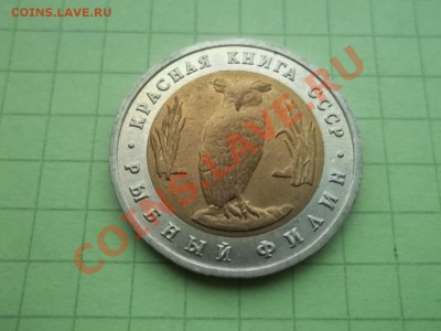5 рублей 1991 филин - 000_0060.JPG