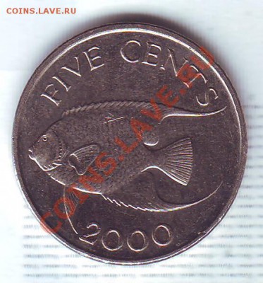Бермуды.5 Центов.2000.Рыба. до 29 августа - 20000041.JPG