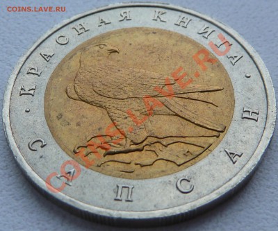 Короткий-КРАСНАЯ-КНИГА-САПСАН-50-рублей-до 25.08.13 22:00Мск - P1100315.JPG