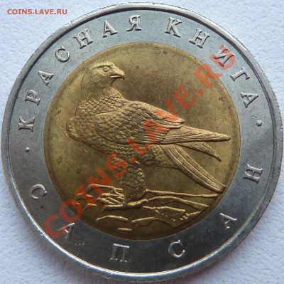 Короткий-КРАСНАЯ-КНИГА-САПСАН-50-рублей-до 25.08.13 22:00Мск - P1100313.JPG