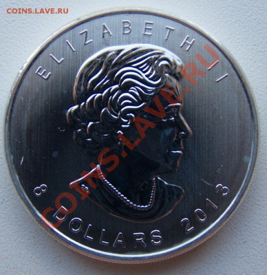 Полярный медведь(1,5 ozt) до 28.08.2013 г. в 20:00 МСК - аверс 1,5.JPG