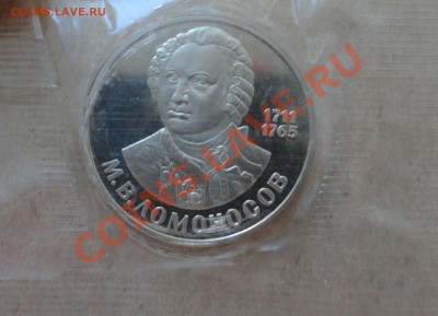 Ломоносов Новодел в родной запайке - DSC00089.JPG