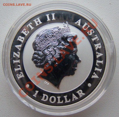 Кукабарра, 1 доллар, Ag 999, 1 oz, 27.08.2013 г. 20:00 МСК - Аверс Кукабарры.JPG