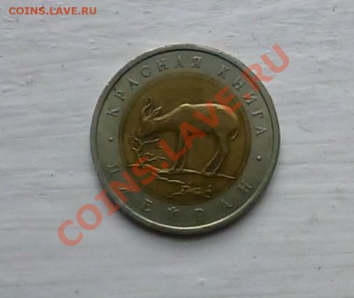Джейран 1994 года Оценка - P1000750.JPG