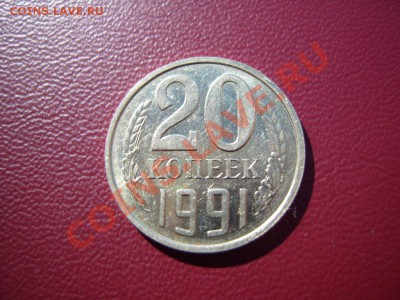 б. - SS102950.JPG