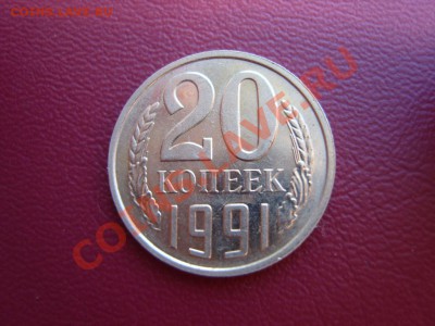 б. - SS102953.JPG