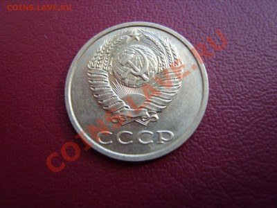 б. - SS102964.JPG