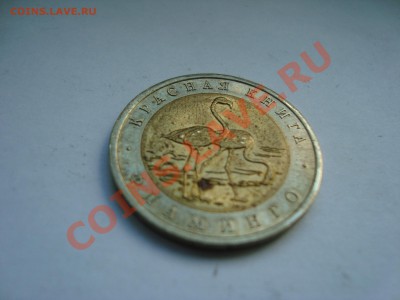 Помогите оценить  монету  Красная книга: Фламинго 1994 г - DSC05047.JPG