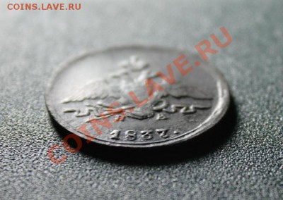 1коп; 1837г.ЕМ.НА. 01.09.13г.23:00ч, вр, Московское. - 2013_08_28_09425.JPG