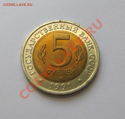 Красная книга, рыбный филин 1991 г. до 2 сентября 21-00 - IMG_0043.JPG