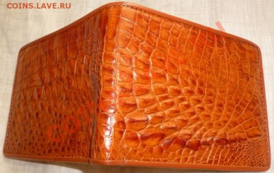 Бумажники и ремни из кожи крокодила ! - P1040623.JPG