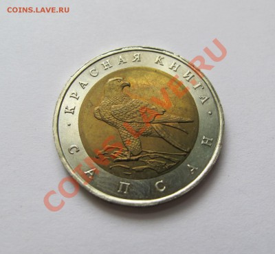 Красная книга, сапсан 1994 г. до 2 сентября 21-00 - 1.JPG