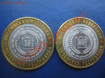 Ямал,Пермь,Чечня и цветные Сочи 2011 год - IMG_8385
