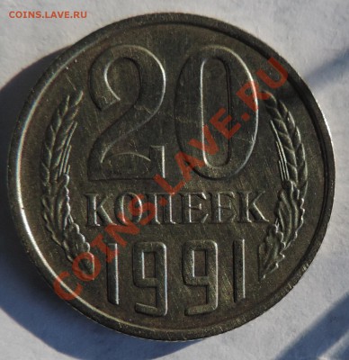 Б----- (без букв) - 111 10206
