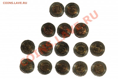 ЧЕЧНЯ от4150 UNC, ПЕРМСКИЙ КРАЙ от1950 UNC, СОЧИ 2012в Цвете - IMG_7221.JPG