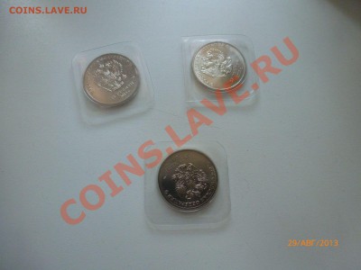 25р Сочи Горы,Талисманы,Лучик и снежинка до 1.09.13 22-00МСК - P1060718.JPG