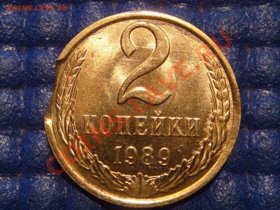 2 коп 1989 МЕШКОВАЯ  выкус+соударение до 21-00 02.09.13 - DSC00511.JPG