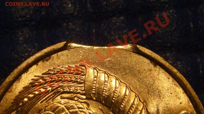 2 коп 1989 МЕШКОВАЯ  выкус+соударение до 21-00 02.09.13 - DSC00490.JPG