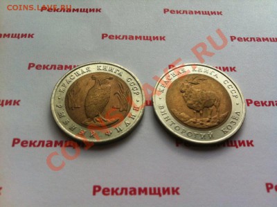 КК 91 на БМ - IMG_8478.JPG