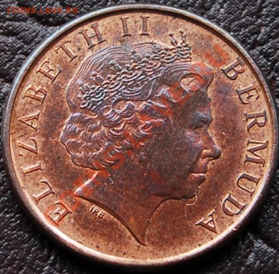 БРИТАНСКИЕ БЕРМУДЫ - 1 цент 1999 - Пекари - до 5 сентября - 093