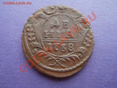 Деньга 1738г,окончание 4.09.13,22-00 по Москве. - P8250848.JPG
