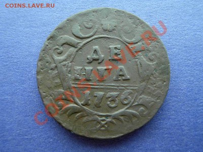 Деньга 1736г,окончание 4.09.13,22-00 по Москве. - P8250859.JPG