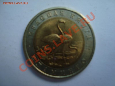 КК: Фламинго до 3.09 21:00 МСК - DSC05046.JPG