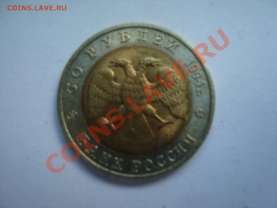 КК: Фламинго до 3.09 21:00 МСК - DSC05048.JPG