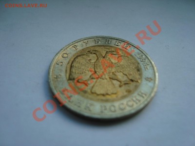 КК: Фламинго до 3.09 21:00 МСК - DSC05049.JPG