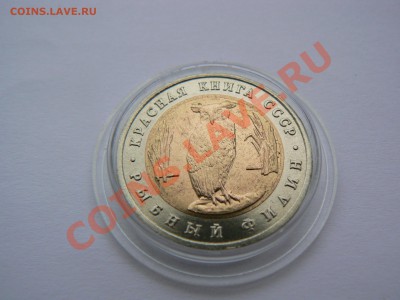 Красная книга, рыбный филин 1991 г. до 4 сентября 21-00 - P1060392.JPG