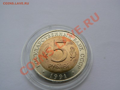 Красная книга, рыбный филин 1991 г. до 4 сентября 21-00 - P1060393.JPG