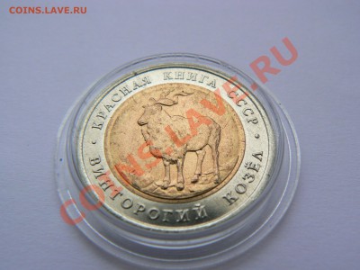 Красная книга, винторогий козел 1991 г. до 4 сентября 21-00 - P1060395.JPG
