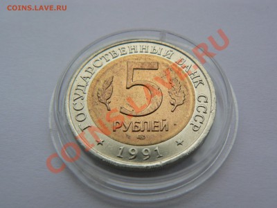 Красная книга, винторогий козел 1991 г. до 4 сентября 21-00 - P1060396.JPG