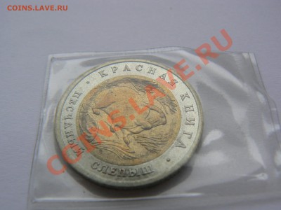 Красная книга, песчаный слепыш 1994 г. до 4 сентября 21-00 - P1060397.JPG