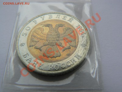 Красная книга, фламинго 1994 г. до 4 сентября 21-00 - P1060403.JPG