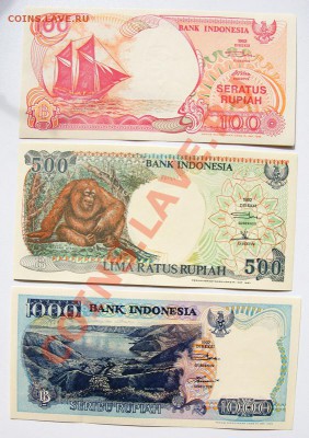 Индонезия 100-500-1000 до 22-00 8 сентября - _MG_4997