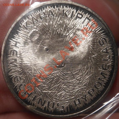 С рубля 50 Тенге-2013г(Длиноиглый Ёж)! До 08.09.2013г! - DSCN3281