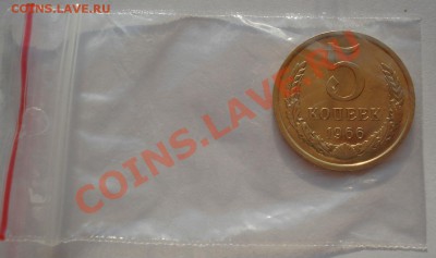 5 копеек 1966 СССР из набора до 22:00 05.09.13 - DSC04201.JPG