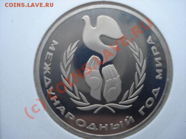 Год Мира (новодел с авер. и рев. стародела) до 11.01.10. - DSC03960.JPG