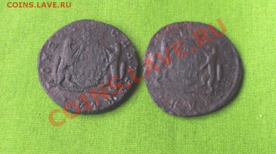 Сибирская копейка 2 шт. уставшие до 8.09.13г. до 22-00 мск - DSCF6432.JPG