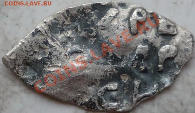 Чешуйка опознание! - P1170750.JPG