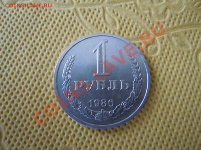 Годовик 1986г., до 06.09.2013г. в 21.00 - DSCN2184.JPG