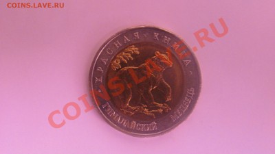 медведь 93г (КК) до 06.09 в 22-00 - меда.JPG