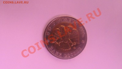 слепыш 94г (КК) до 06.09 в 22-00 - слепыш.JPG